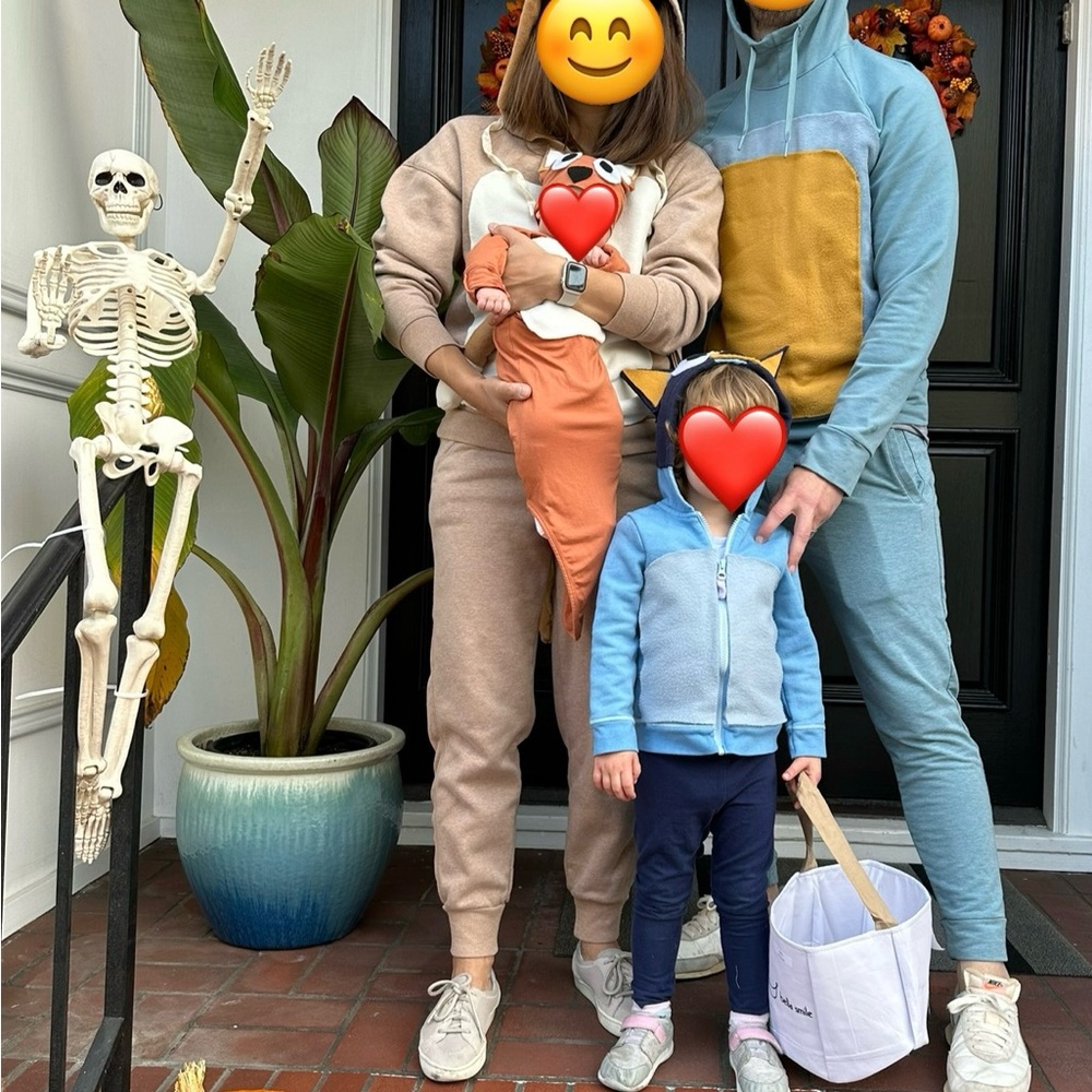 Fun and creative Bluey Heeler family Halloween costume!